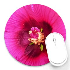 Deep Pink And Crimson Hibiscus Flower Macro Round Mousepads by myrubiogarden