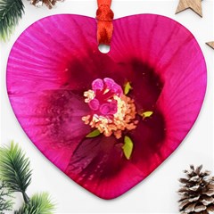 Deep Pink And Crimson Hibiscus Flower Macro Ornament (heart) by myrubiogarden