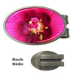 Deep Pink And Crimson Hibiscus Flower Macro Money Clips (oval)  by myrubiogarden