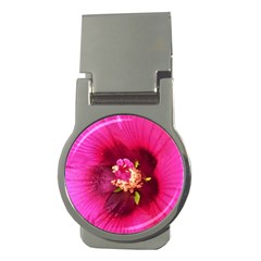 Deep Pink And Crimson Hibiscus Flower Macro Money Clips (round)  by myrubiogarden