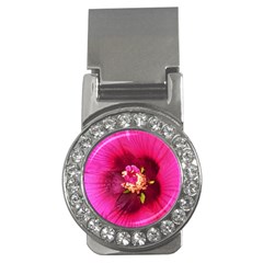 Deep Pink And Crimson Hibiscus Flower Macro Money Clips (cz)  by myrubiogarden