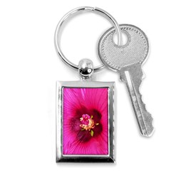 Deep Pink And Crimson Hibiscus Flower Macro Key Chains (rectangle)  by myrubiogarden