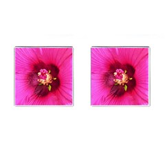 Deep Pink And Crimson Hibiscus Flower Macro Cufflinks (square) by myrubiogarden