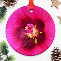 Deep Pink And Crimson Hibiscus Flower Macro Round Ornament (two Sides)