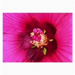 Deep Pink And Crimson Hibiscus Flower Macro Large Glasses Cloth (2-side) by myrubiogarden