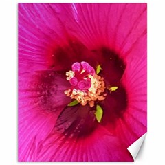 Deep Pink And Crimson Hibiscus Flower Macro Canvas 11  X 14 