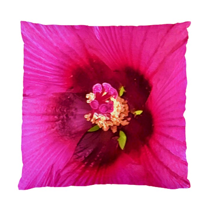 Deep Pink And Crimson Hibiscus Flower Macro Standard Cushion Case (One Side)