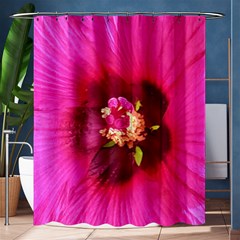 Deep Pink And Crimson Hibiscus Flower Macro Shower Curtain 60  X 72  (medium)  by myrubiogarden