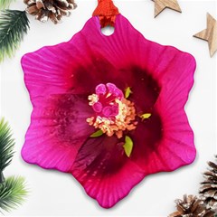 Deep Pink And Crimson Hibiscus Flower Macro Ornament (snowflake)