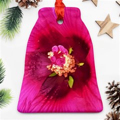 Deep Pink And Crimson Hibiscus Flower Macro Ornament (bell)