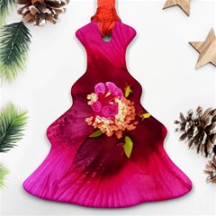 Deep Pink And Crimson Hibiscus Flower Macro Christmas Tree Ornament (two Sides)