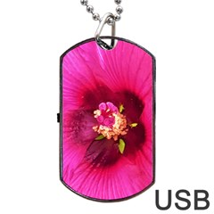 Deep Pink And Crimson Hibiscus Flower Macro Dog Tag Usb Flash (two Sides) by myrubiogarden