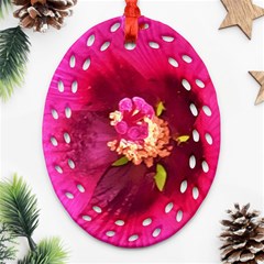 Deep Pink And Crimson Hibiscus Flower Macro Oval Filigree Ornament (two Sides)