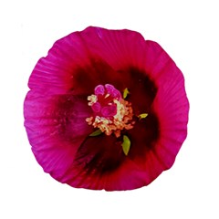 Deep Pink And Crimson Hibiscus Flower Macro Standard 15  Premium Round Cushions by myrubiogarden