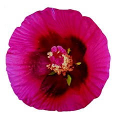 Deep Pink And Crimson Hibiscus Flower Macro Large 18  Premium Flano Round Cushions by myrubiogarden