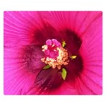 Deep Pink And Crimson Hibiscus Flower Macro Double Sided Flano Blanket (Small)  50 x40  Blanket Front