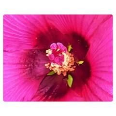 Deep Pink And Crimson Hibiscus Flower Macro Double Sided Flano Blanket (medium)  by myrubiogarden