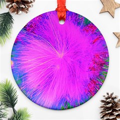 Psychedelic Purple Garden Milkweed Flower Round Ornament (two Sides)