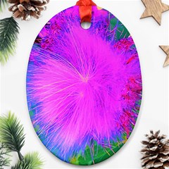 Psychedelic Purple Garden Milkweed Flower Oval Ornament (two Sides)