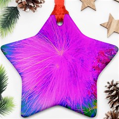 Psychedelic Purple Garden Milkweed Flower Star Ornament (two Sides)