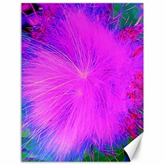 Psychedelic Purple Garden Milkweed Flower Canvas 12  X 16  by myrubiogarden