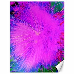 Psychedelic Purple Garden Milkweed Flower Canvas 36  X 48  by myrubiogarden