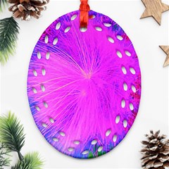 Psychedelic Purple Garden Milkweed Flower Ornament (oval Filigree)