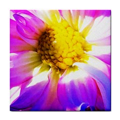 Purple, Pink And White Dahlia With A Bright Yellow Center Tile Coasters