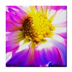 Purple, Pink And White Dahlia With A Bright Yellow Center Tile Coasters Front