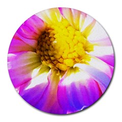 Purple, Pink And White Dahlia With A Bright Yellow Center Round Mousepads