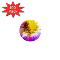 Purple, Pink And White Dahlia With A Bright Yellow Center 1  Mini Magnets (100 pack) 