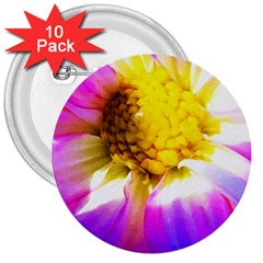 Purple, Pink And White Dahlia With A Bright Yellow Center 3  Buttons (10 pack) 