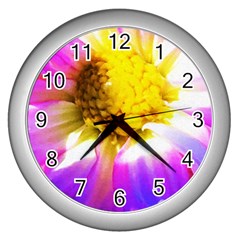 Purple, Pink And White Dahlia With A Bright Yellow Center Wall Clock (Silver)