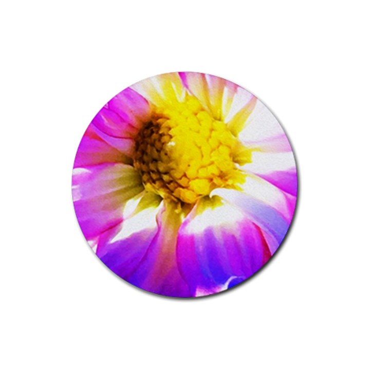 Purple, Pink And White Dahlia With A Bright Yellow Center Rubber Round Coaster (4 pack) 