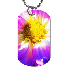 Purple, Pink And White Dahlia With A Bright Yellow Center Dog Tag (One Side)