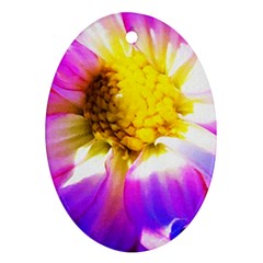 Purple, Pink And White Dahlia With A Bright Yellow Center Oval Ornament (Two Sides)