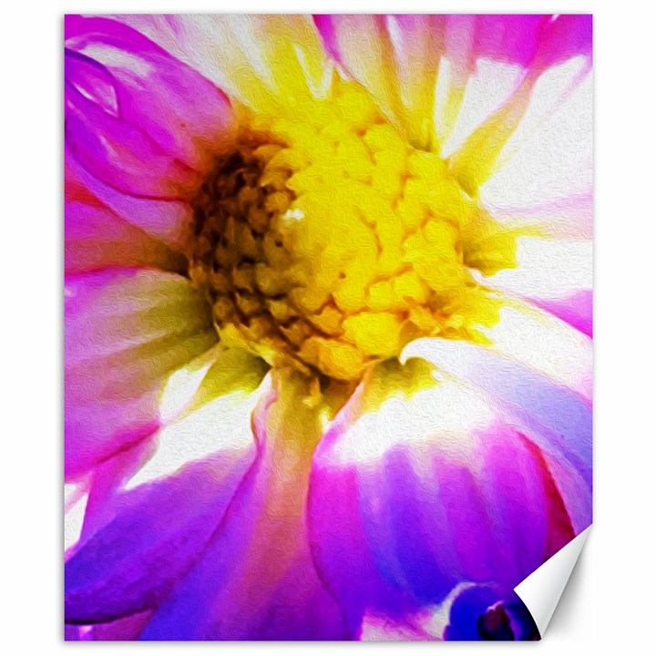 Purple, Pink And White Dahlia With A Bright Yellow Center Canvas 8  x 10 