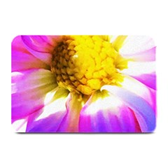 Purple, Pink And White Dahlia With A Bright Yellow Center Plate Mats