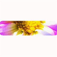 Purple, Pink And White Dahlia With A Bright Yellow Center Large Bar Mats