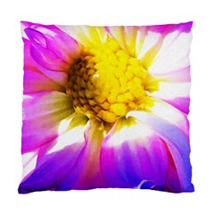 Purple, Pink And White Dahlia With A Bright Yellow Center Standard Cushion Case (One Side)