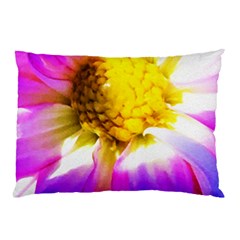 Purple, Pink And White Dahlia With A Bright Yellow Center Pillow Case