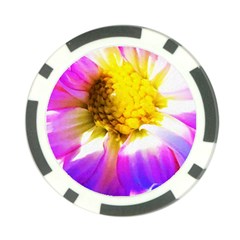 Purple, Pink And White Dahlia With A Bright Yellow Center Poker Chip Card Guard (10 pack)