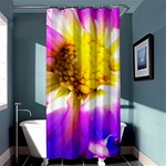 Purple, Pink And White Dahlia With A Bright Yellow Center Shower Curtain 36  x 72  (Stall)  Curtain(36 X72 ) - 33.26 x66.24  Curtain(36 X72 )