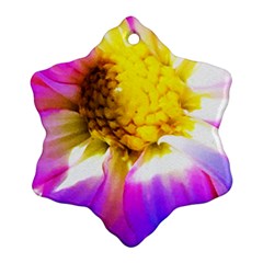 Purple, Pink And White Dahlia With A Bright Yellow Center Ornament (Snowflake)