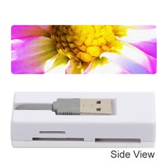 Purple, Pink And White Dahlia With A Bright Yellow Center Memory Card Reader (Stick)