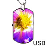 Purple, Pink And White Dahlia With A Bright Yellow Center Dog Tag USB Flash (Two Sides) Front