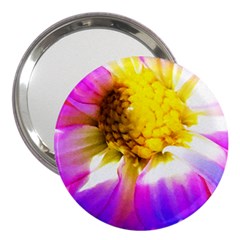 Purple, Pink And White Dahlia With A Bright Yellow Center 3  Handbag Mirrors