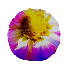 Purple, Pink And White Dahlia With A Bright Yellow Center Standard 15  Premium Round Cushions