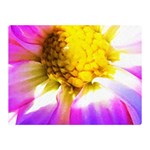 Purple, Pink And White Dahlia With A Bright Yellow Center Double Sided Flano Blanket (Mini)  35 x27  Blanket Front