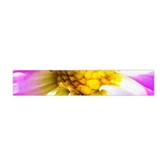 Purple, Pink And White Dahlia With A Bright Yellow Center Flano Scarf (Mini)